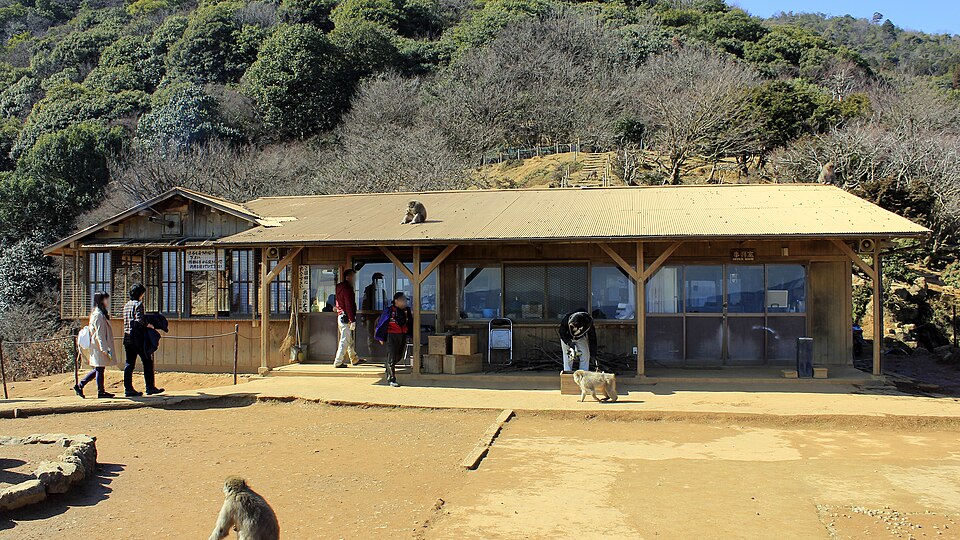 Iwatayama Monkey Park（Japan）