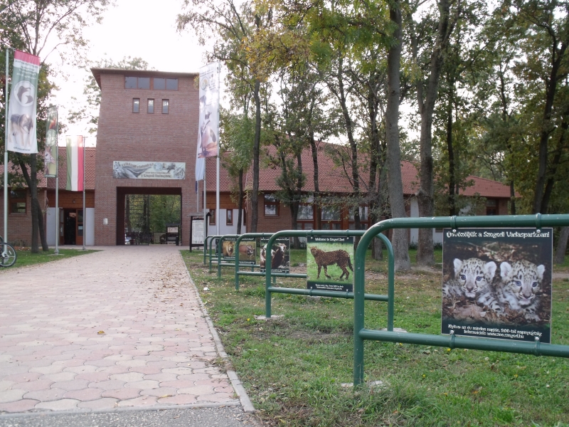 Szeged Zoo（Hungary）