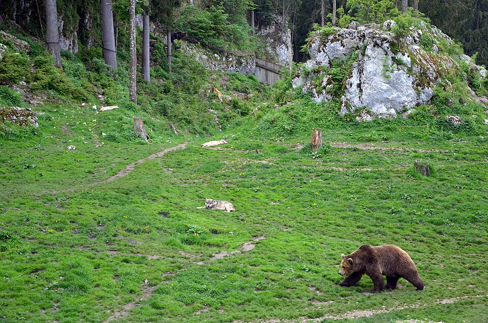 Juraparc（Switzerland）