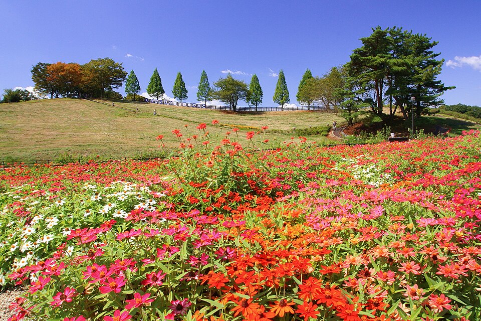Kuragaike Park（Japan）