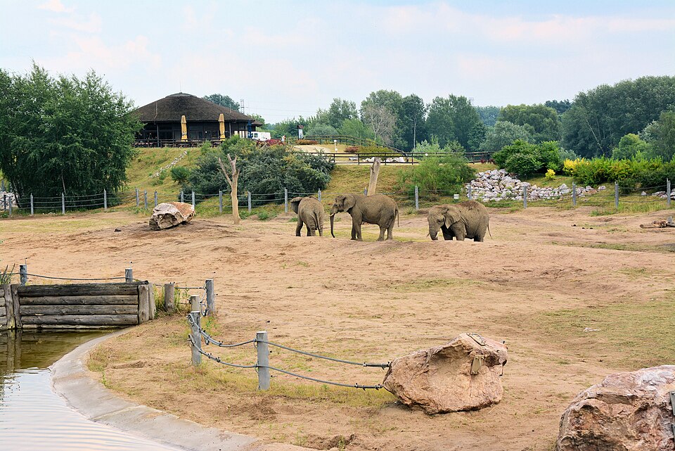 Poznań Nowe Zoo（Poland）