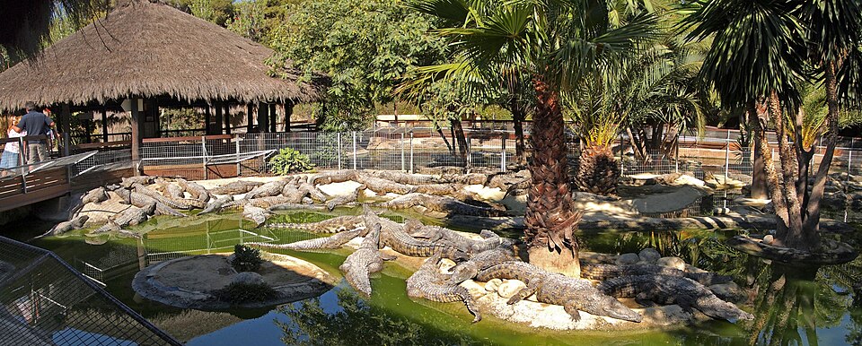 Crocodile Park, Torremolinos（Spain）