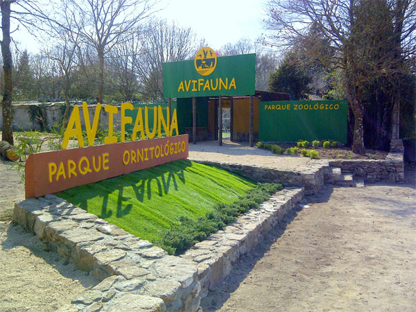 Avifauna（Spain）