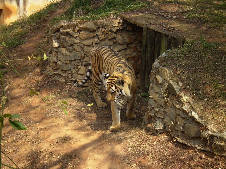 Zoological Garden of Belo Horizonte（Brazil）
